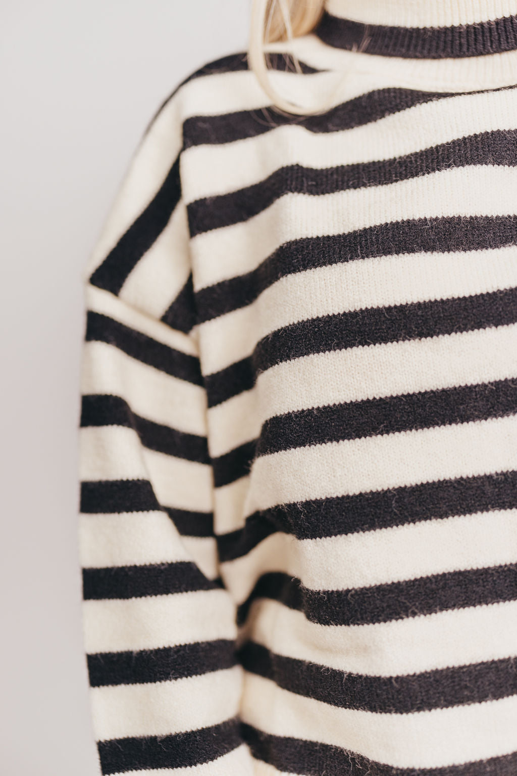 Lucy Turtleneck Sweater in Cream/Black Stripe