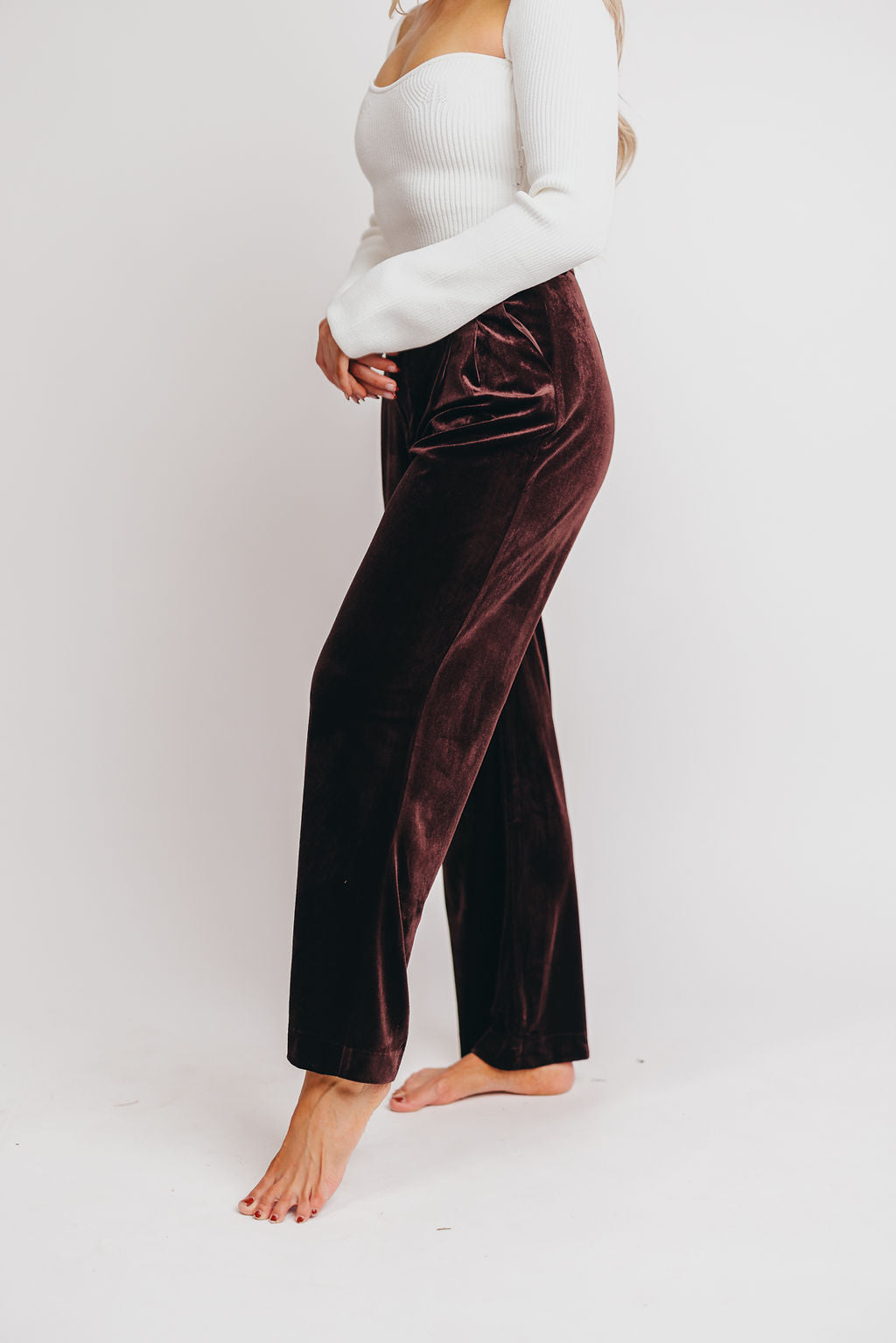 Brooks Velvet Trousers in Brown