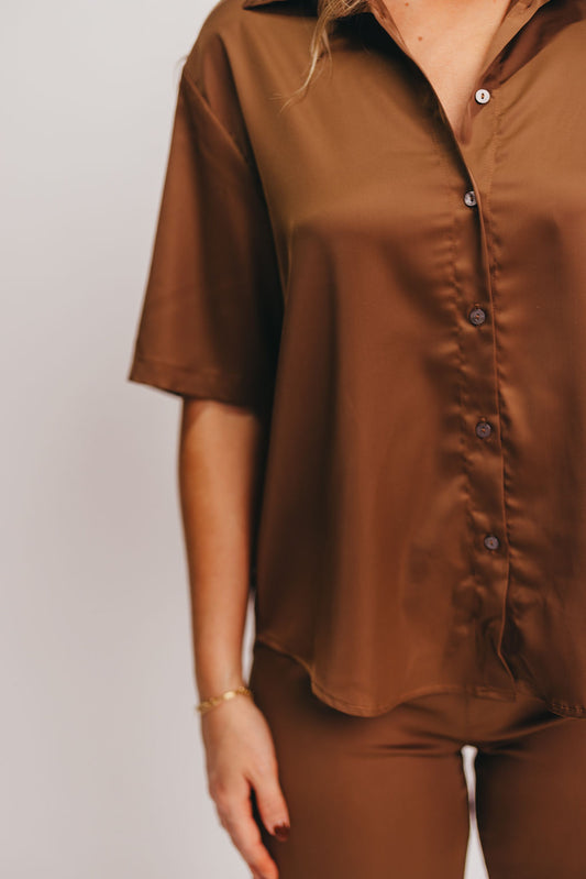 Matt Satin Button-Up Shirt in Brown